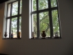 Glass vases at Sidney & Berne Davis Art Center Glass vases at Sidney & Berne Davis Art Center